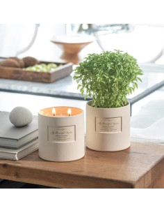 Ароматична свічка  ATELIER REBUL Fresh Cut Fig & Coconut... 2