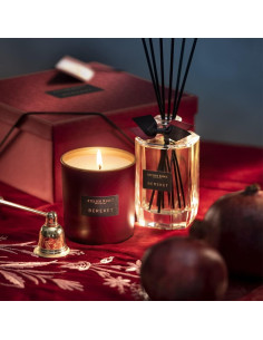 Аромадифузор із паличками ATELIER REBUL Bereket 2