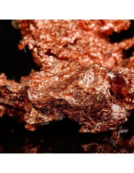 Шампунь для ослабленого волосся - MTJ Cosmetics Superior Therapy Niamex 50 Shampoo