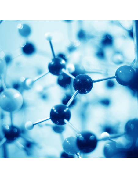 Шампунь для ослабленого волосся - MTJ Cosmetics Superior Therapy Niamex 50 Shampoo