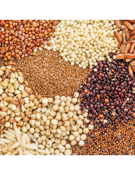 Маска для волос - MTJ Cosmetics Superior Therapy Microelements Mask