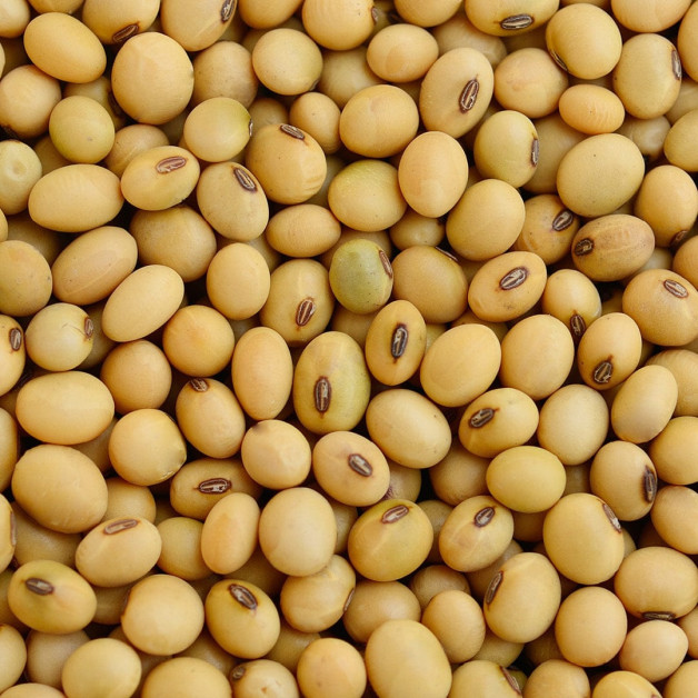 Питательный флюид для сухих волос - MTJ...