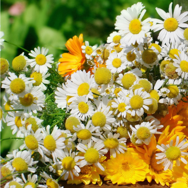 Сыворотка-активатор роста волос - MTJ Cosmetics...