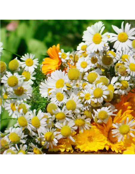 Сыворотка-активатор роста волос - MTJ Cosmetics Superior Therapy Niamex 25-1000 15 мл