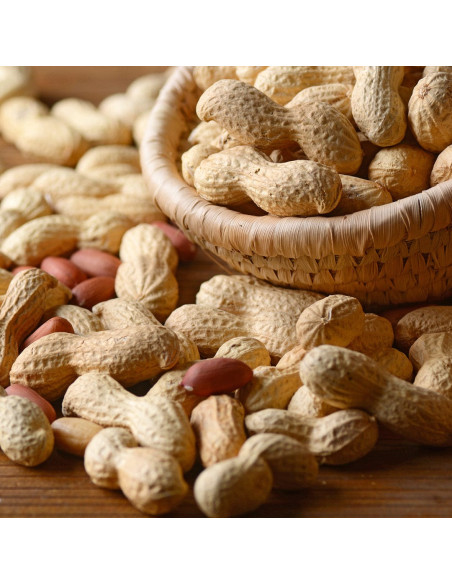 Сыворотка против выпадения волос - MTJ Cosmetics Superior Therapy Niamex 50-1000 15 мл