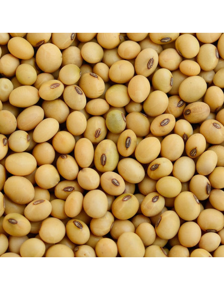 Полирующая сыворотка-спрей для волос - MTJ Cosmetics Superior Therapy Microelements Shine Boosting Serum 50 мл