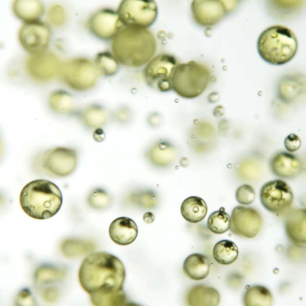 Багатофункціональний незмивний засіб для...