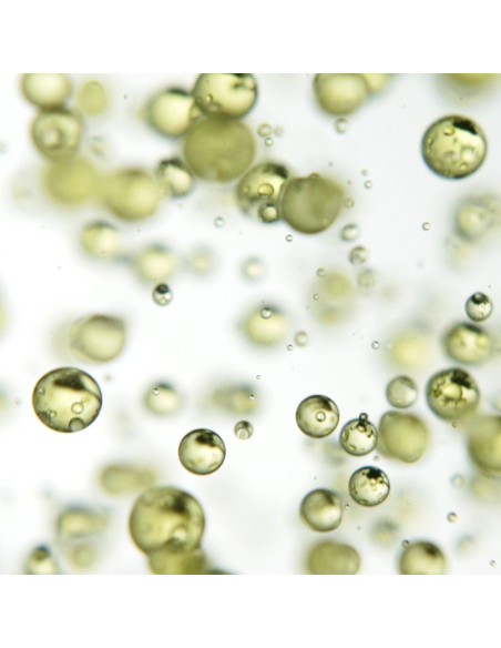 Многофункциональное несмываемое средство для волос MTJ Cosmetics Vitamin All-In-One 100 мл