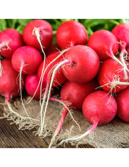 Віск легкої фіксації для волосся - MTJ Cosmetics Superior Therapy Pearl Wax 100 мл