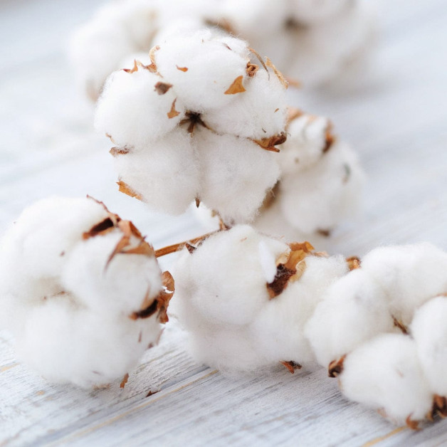 Флюид для укладки волос - MTJ Cosmetics Cotton...