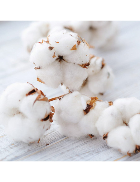 Флюид для укладки волос - MTJ Cosmetics Cotton Fluid Oil 250 мл