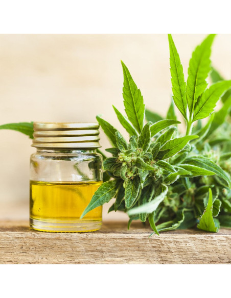 Гель для душу - MTJ Cosmetics Superior Therapy Muskat Thirty Five Shower Gel 350 мл