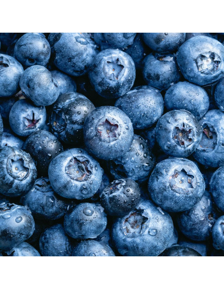 Гель для душа - MTJ Cosmetics Superior Therapy Rose Musk Seventeen Shower Gel 350 мл