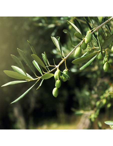 Скраб для рук - MTJ Cosmetics Hand Scrub 100 мл