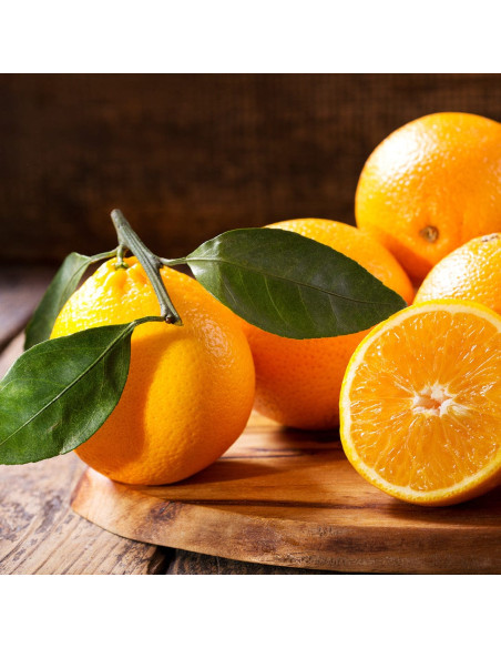 Скраб для тіла - MTJ Cosmetics Body Scrub 350 мл