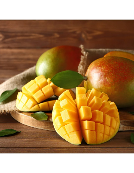 Скраб для тела - MTJ Cosmetics Body Scrub 350 мл