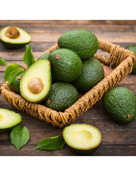 Сонцезахисний флюїд для волосся MTJ Cosmetics Superior Therapy Monoi Fluid 100 мл