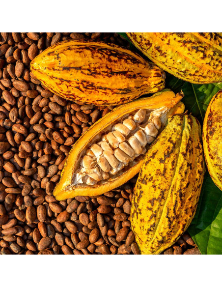 Сонцезахисна маска для волосся - MTJ Cosmetics Superior Therapy Sun Monoi Mask