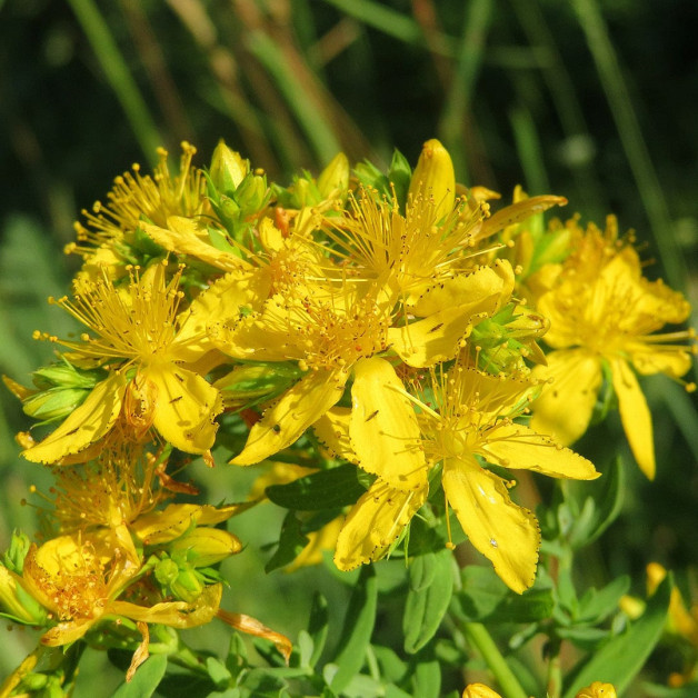 Сонцезахисний спрей для тіла SPF30 - MTJ...