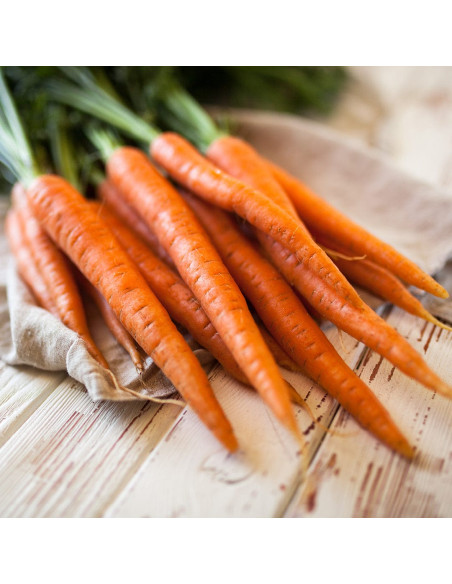 Масло для тела после загара - MTJ Cosmetics Superior Therapy Sun Extender luxe Monoi After Sun 200 мл