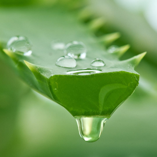 Крем після засмаги - MTJ Cosmetics Superior...