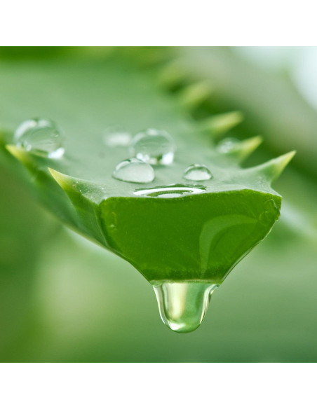 Солнцезащитный крем для тела - MTJ Cosmetics Superior Therapy Sun Care DN4D Body Cream SPF15 Medium Body Protection 100 мл