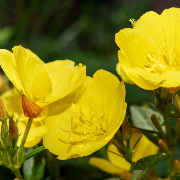 Крем для тела после загара MTJ Cosmetics...