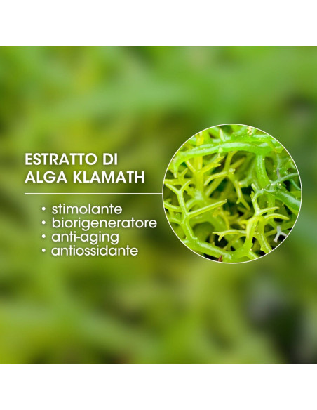 Солнцезащитный набор для красоты волос MTJ Hair Beauty Sun Kit