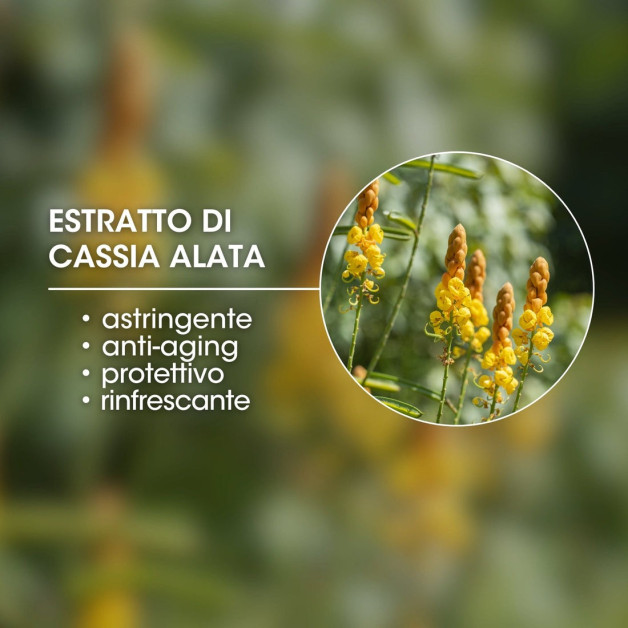 Набор для ухода за лицом MTJ Face Prime Sun Kit