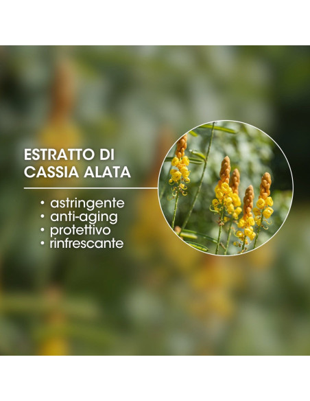 Набір для догляду за обличчям MTJ Face Prime Sun Kit