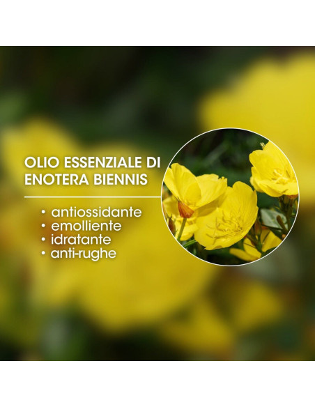 Солнцезащитный набор для сияющего лица  MTJ Face Shine Sun Kit