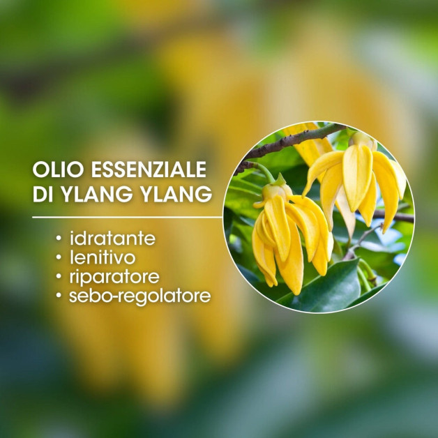 Набор для сияющего тела и лица MTJ Fashion Sun Kit