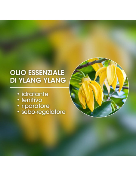 Набор для сияющего тела и лица MTJ Fashion Sun Kit