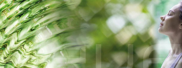 Новий семінар від Harbo Group